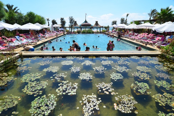 Sunday At Edde Sands